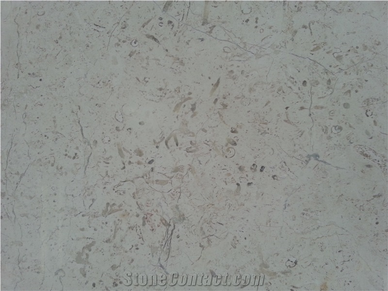 Marbella Shellstone Limestone Tiles, Slabs, Beige Limestone Tiles & Slabs