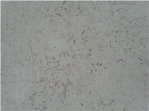 Marbella Shellstone Limestone Tiles, Slabs, Beige Limestone Tiles & Slabs