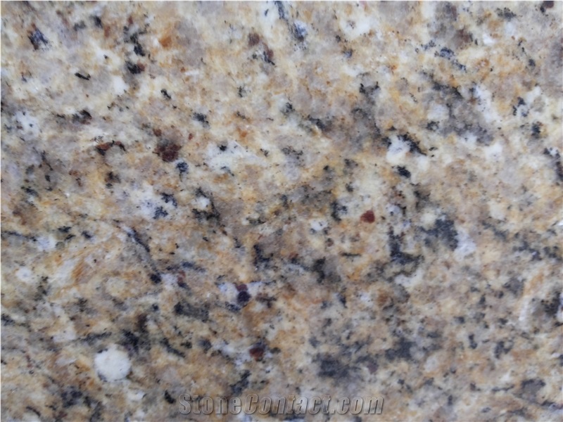 New Venetian Gold Granite Slabs
