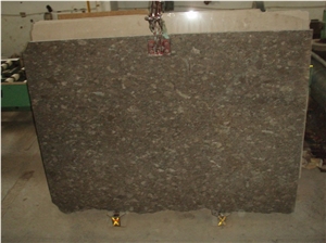 Ocean Fossil Marble Slabs & Tiles, Green Polished Marble Flooring Tiles, Walling Tiles