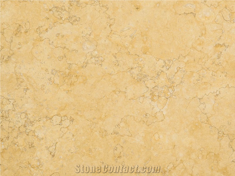 Sunny Medium