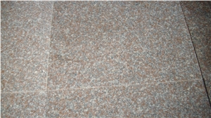 G368 Red Granite Stone Tile,granite Floor Tiles
