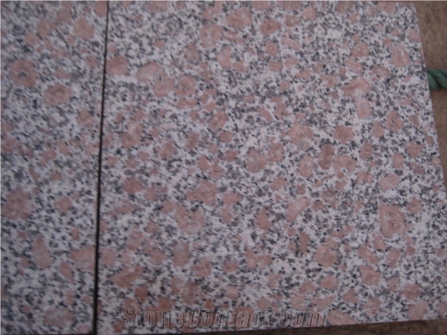 G384 Red Pearl Flower, China Red Granite Tiles