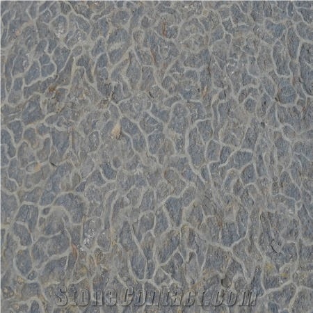 Yangtze River Septarium Limestone Tiles, China Grey Limestone