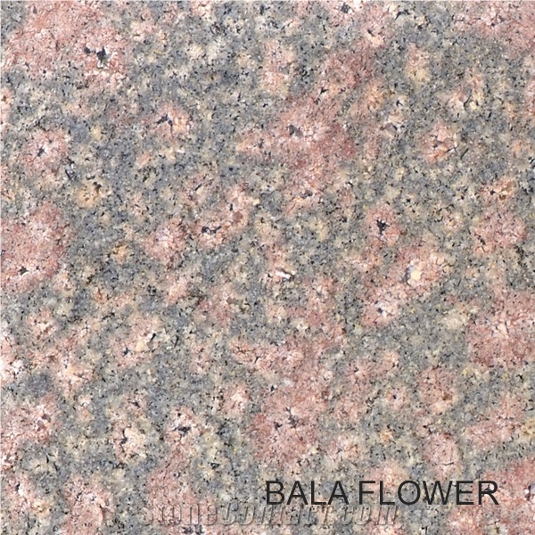 Granite Slab & Tile, India Beige Granite