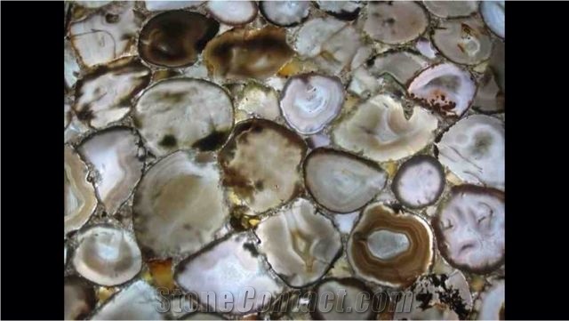 Grey Seashell Semiprecious Stone