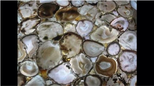 Grey Seashell Semiprecious Stone
