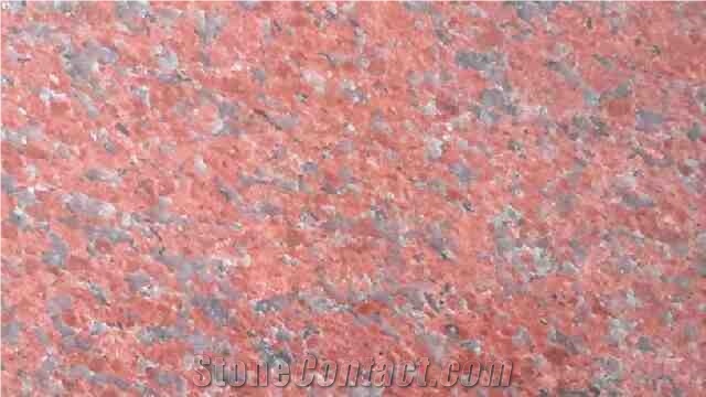 Dragon Red Granite Slabs & Tiles