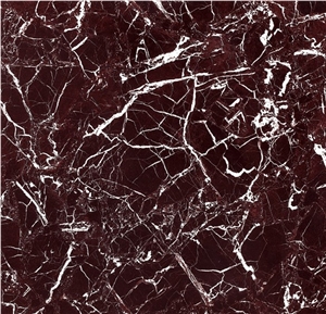 Porcelain Polished Decor Tile