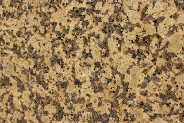 China Chrysanthemum Yellow Polished Granite Slabs