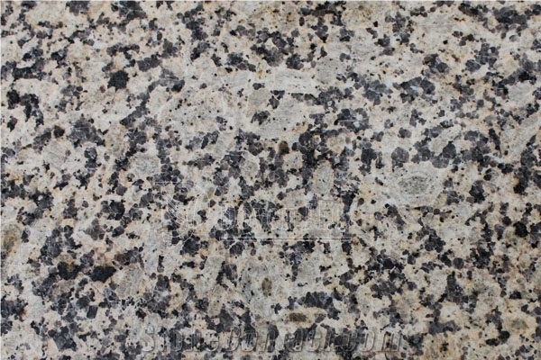 China Chrysanthemum Yellow Polished Granite Slabs