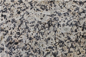 China Chrysanthemum Yellow Polished Granite Slabs