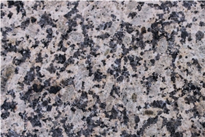 China Chrysanthemum Yellow Polished Granite Slabs