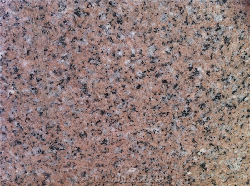 G356 Noble Red Granite Polishing Slab