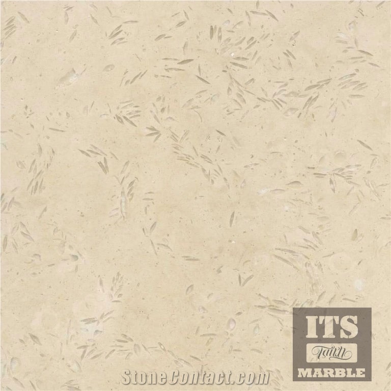 Its Turkey Beige Limestone Tiles & Slabs