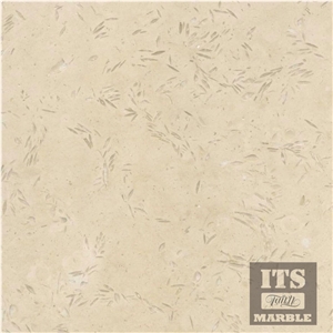 Its Turkey Beige Limestone Tiles & Slabs
