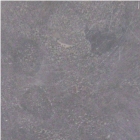 China Blue Stone Slabs & Tiles