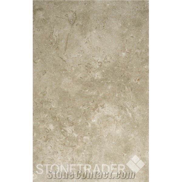 Jerusalem Stone Grey/Gold Polished 61 X 40.6