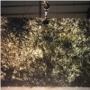 Alabaster Slabs & Tiles