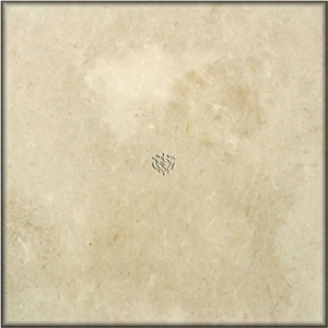 Trani Chiaro Limestone Tiles