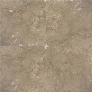 Grigio Fossile Limestone Tiles, Turkey Grey Limestone