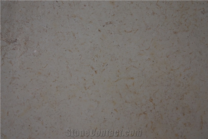 Carina Gold Limestone Slabs & Tiles, Palestine Beige Limestone