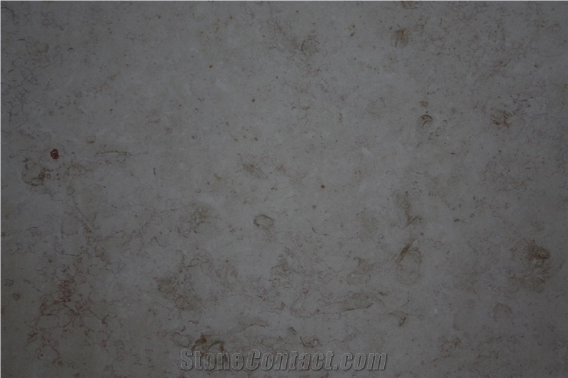 Hebron Snow Limestone Slabs, Palestine White Limestone