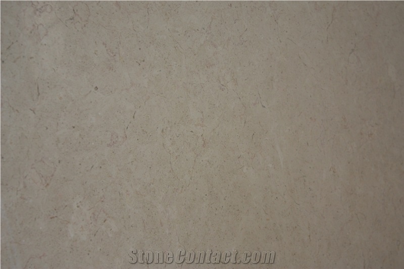 Hebron Snow Limestone Slabs, Palestine White Limestone
