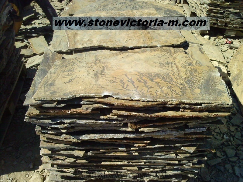 Fossil Stone, Brown Quartzite Flagstone