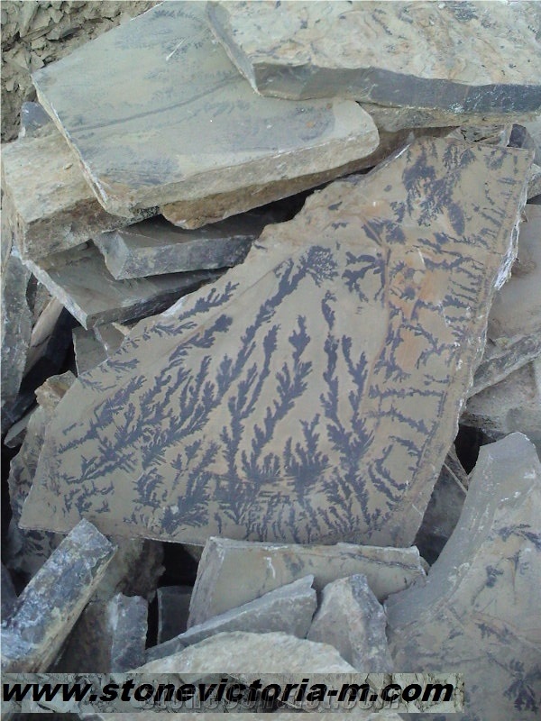 Fossil Stone, Brown Quartzite Flagstone
