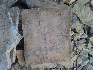 Fossil Stone, Brown Quartzite Flagstone