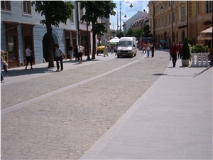 Andesite Pietroasa, Romania Grey Basalt Slabs & Tiles