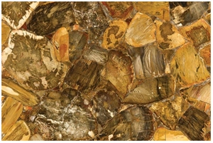 Desert Petrified Wood Semiprecious Stone Tiles & Slabs
