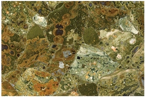 Jungle Jasper Semiprecious Stone Tiles, Slabs Jungle Jasper Semiprecious Stone Tiles, Slabs