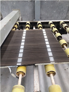 Natural Eramosa Limestone Slabs / Dark Brown Wooden Vein Limestone Slabs