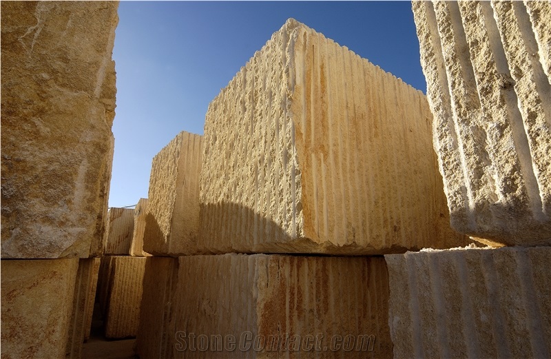 Amarillo Fosil - Yellow Fossil Blocks