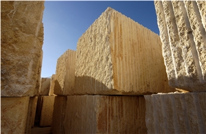Amarillo Fosil - Yellow Fossil Blocks Amarillo Fosil - Yellow Fossil Blocks