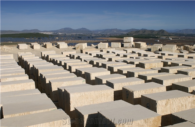 Amarillo Fosil - Yellow Fossil Blocks