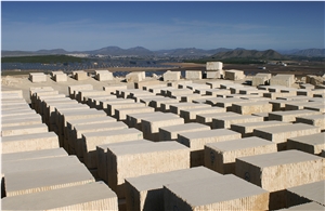 Amarillo Fosil - Yellow Fossil Blocks