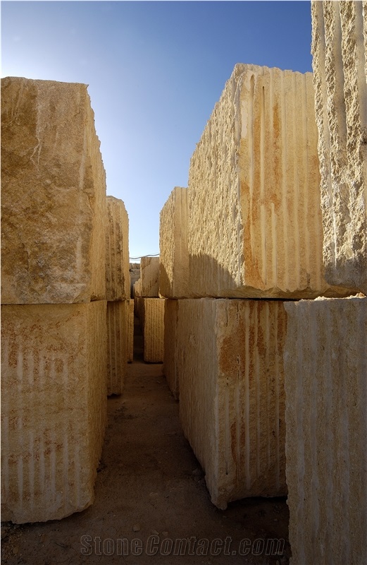 Amarillo Fosil - Yellow Fossil Blocks