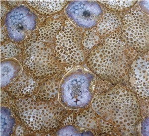 Translucent Chrysanthemum Fossil Semiprecious Stone Slab, Yellow Colored