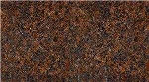 Tan Brown Slabs