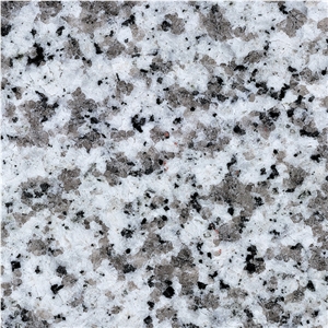 G439 Granite Slabs & Tiles, China Grey Granite
