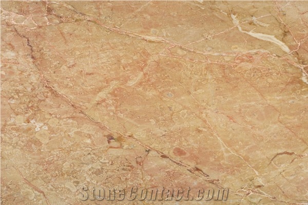 Breccia Pernice Chiara Tiles