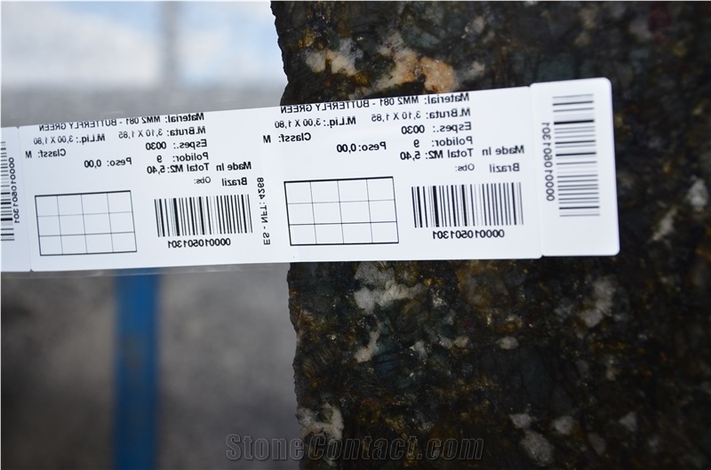 Butterfly Granite 3cm Slabs, Verde Butterfly Granite