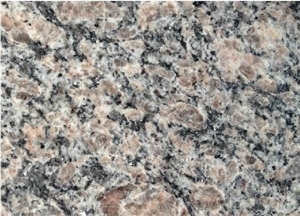 China Caledonia Granite Slabs & Tiles