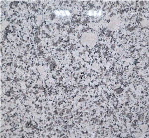 G503 Slabs & Tiles, Sesame White Granite Slabs & Tiles