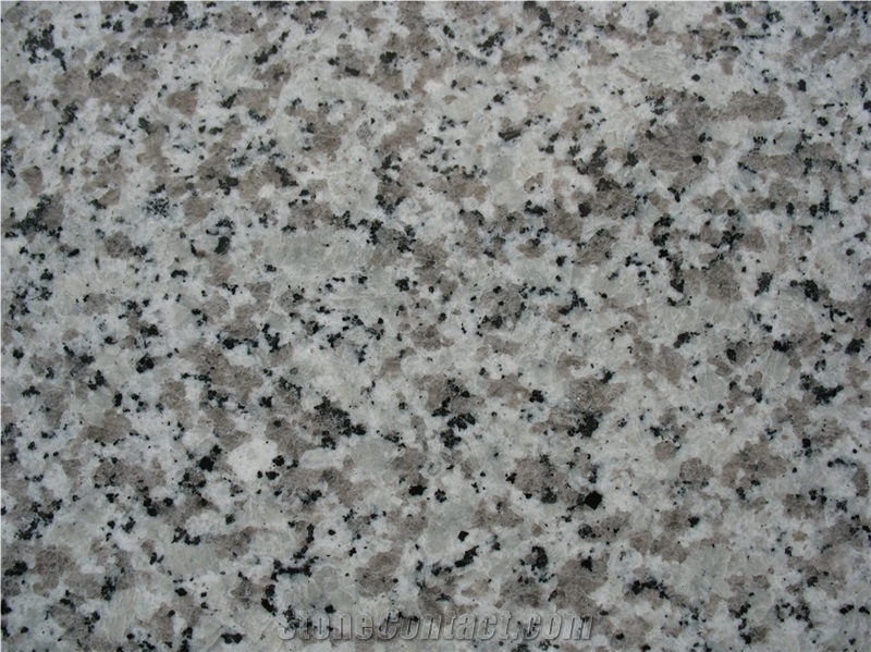 Best Price Bala White G439 Granite Slabs & Tiles, China Grey Granite