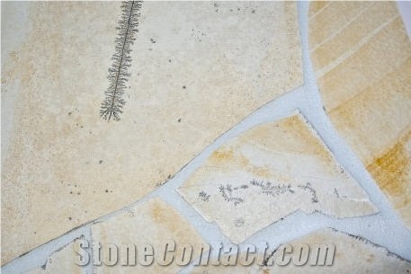 Solnhofen Stone Fossil Stone Irregular Flagstone
