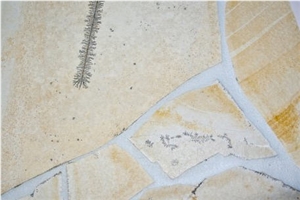 Solnhofen Stone Fossil Stone Irregular Flagstone